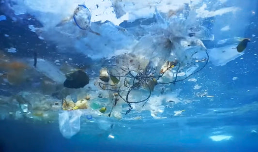 Versatility of Plastic Recycling