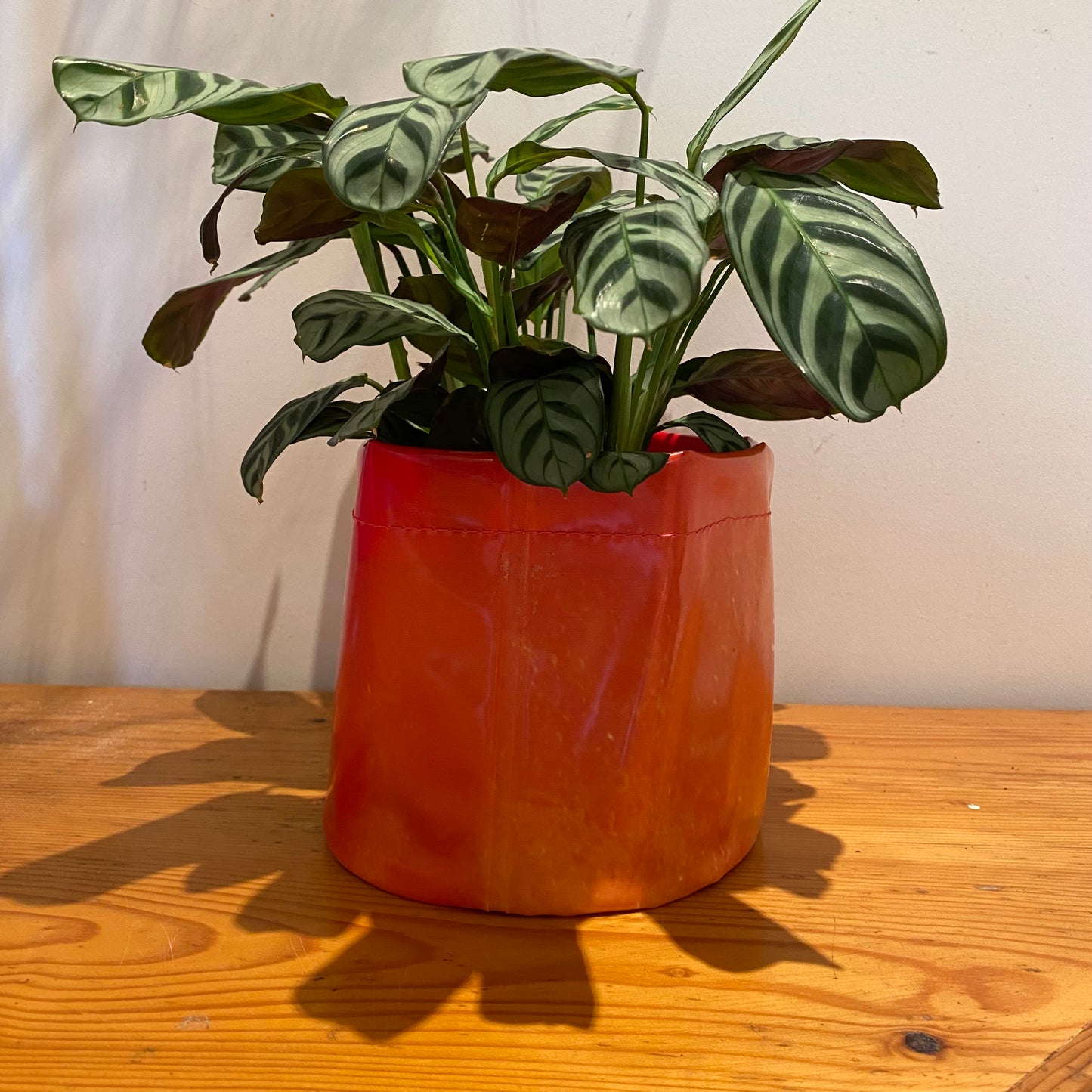 Unique sustainably handmade vegan waterproof planter made from recycled pvc for plant lovers