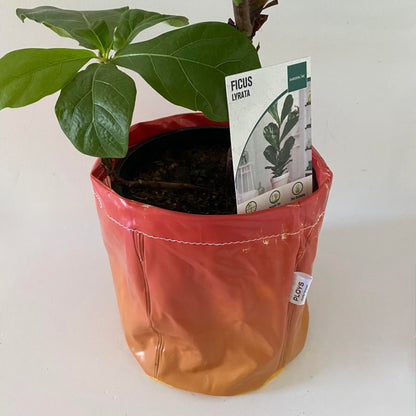 Sustainable Plant Pots & Storage Baskets – Upcycled from Pool Inflatables